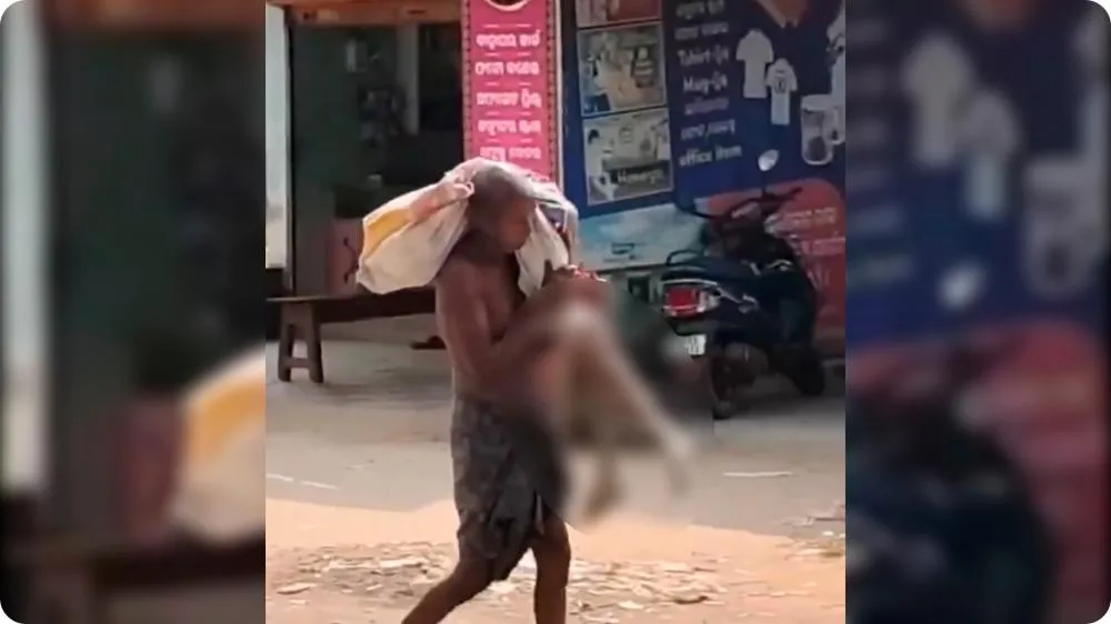 Homem desenterra esqueleto da própria irmã para provar morte e sacar dinheiro em banco na Índia
